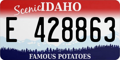 ID license plate E428863