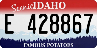 ID license plate E428867