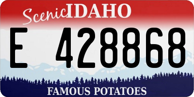 ID license plate E428868