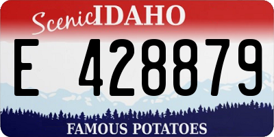 ID license plate E428879