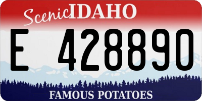 ID license plate E428890