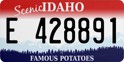 ID license plate E428891