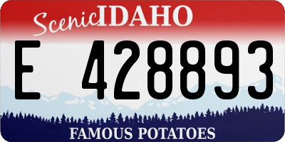ID license plate E428893