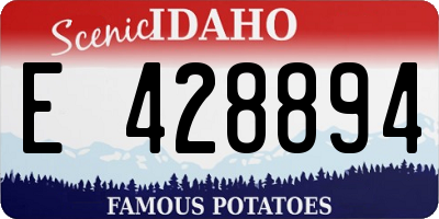 ID license plate E428894