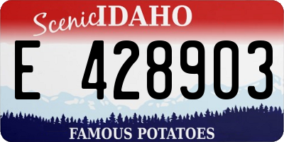 ID license plate E428903