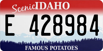 ID license plate E428984