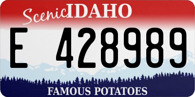 ID license plate E428989