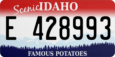 ID license plate E428993