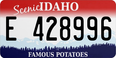 ID license plate E428996