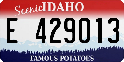 ID license plate E429013