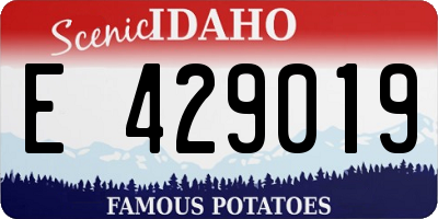 ID license plate E429019