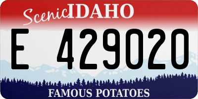 ID license plate E429020