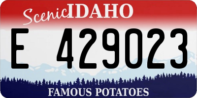 ID license plate E429023