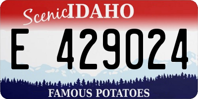 ID license plate E429024
