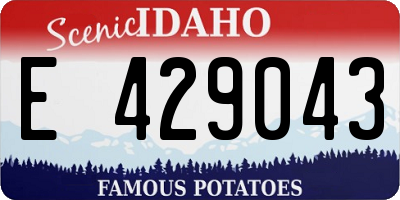 ID license plate E429043