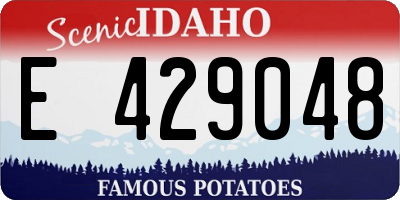 ID license plate E429048