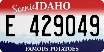 ID license plate E429049
