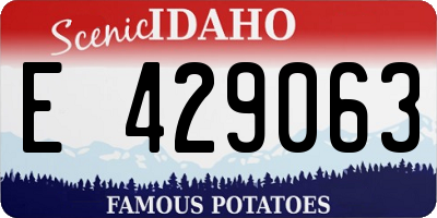 ID license plate E429063