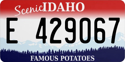ID license plate E429067