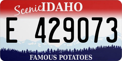 ID license plate E429073