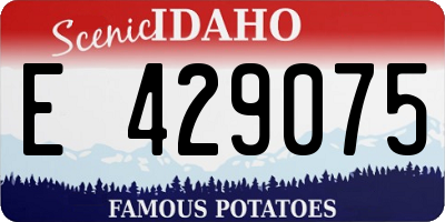 ID license plate E429075