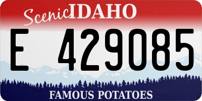 ID license plate E429085
