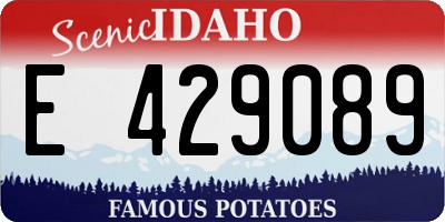 ID license plate E429089