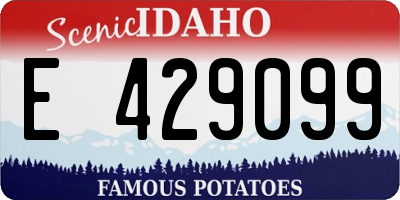 ID license plate E429099