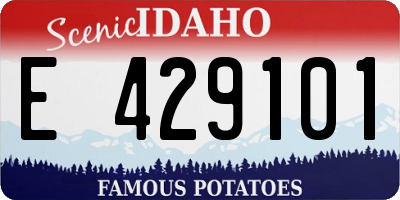 ID license plate E429101