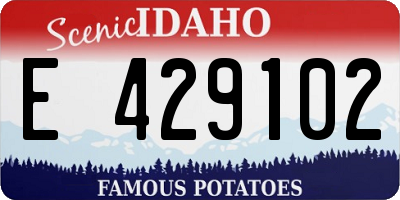 ID license plate E429102