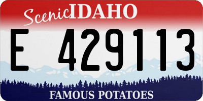 ID license plate E429113