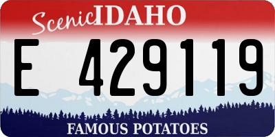 ID license plate E429119