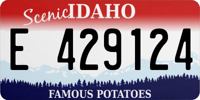 ID license plate E429124