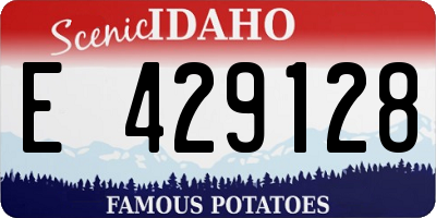 ID license plate E429128