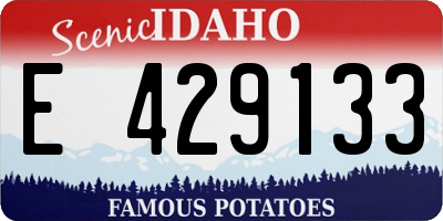 ID license plate E429133