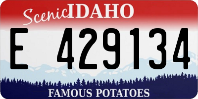 ID license plate E429134