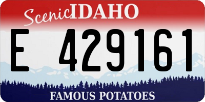 ID license plate E429161