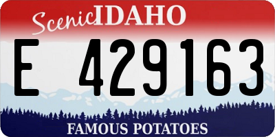 ID license plate E429163
