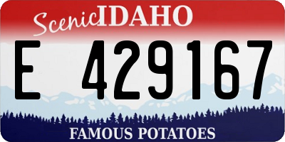 ID license plate E429167