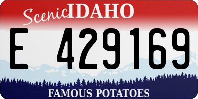 ID license plate E429169