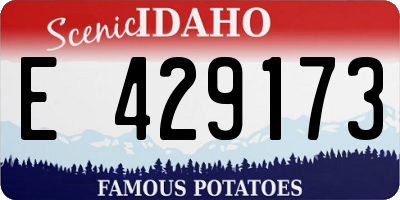 ID license plate E429173