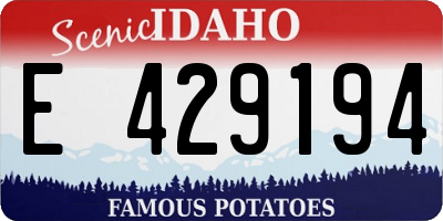 ID license plate E429194