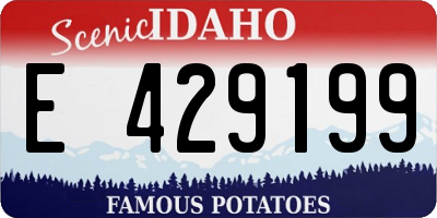 ID license plate E429199