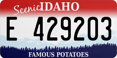 ID license plate E429203