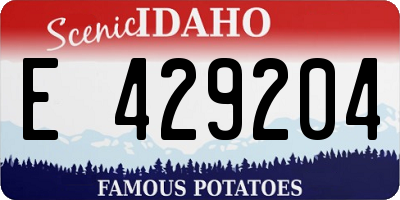 ID license plate E429204