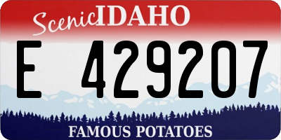 ID license plate E429207