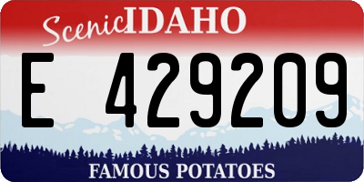 ID license plate E429209