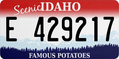 ID license plate E429217