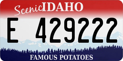 ID license plate E429222
