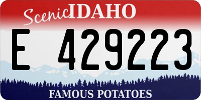 ID license plate E429223
